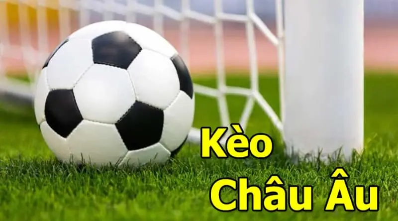 Cách đọc tỷ lệ kèo châu âu trên 888to